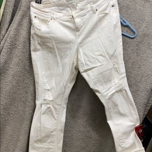 Torrid Boyfriend Distressed jeans